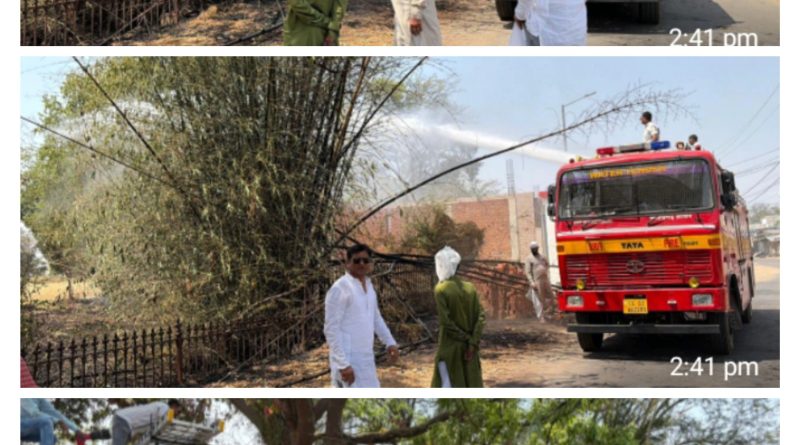 ताज़ा समाचार मजार के पास पैलेस के पीछे लगी आग पर पाया गया काबू नपा उपाध्यक्ष आशीष यादव