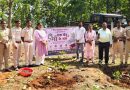 विश्व पर्यावरण दिवस पर 4 हजार पौधों का रोपण जिला वन मण्डलाधिकारी  प्रभाकर ख़लको